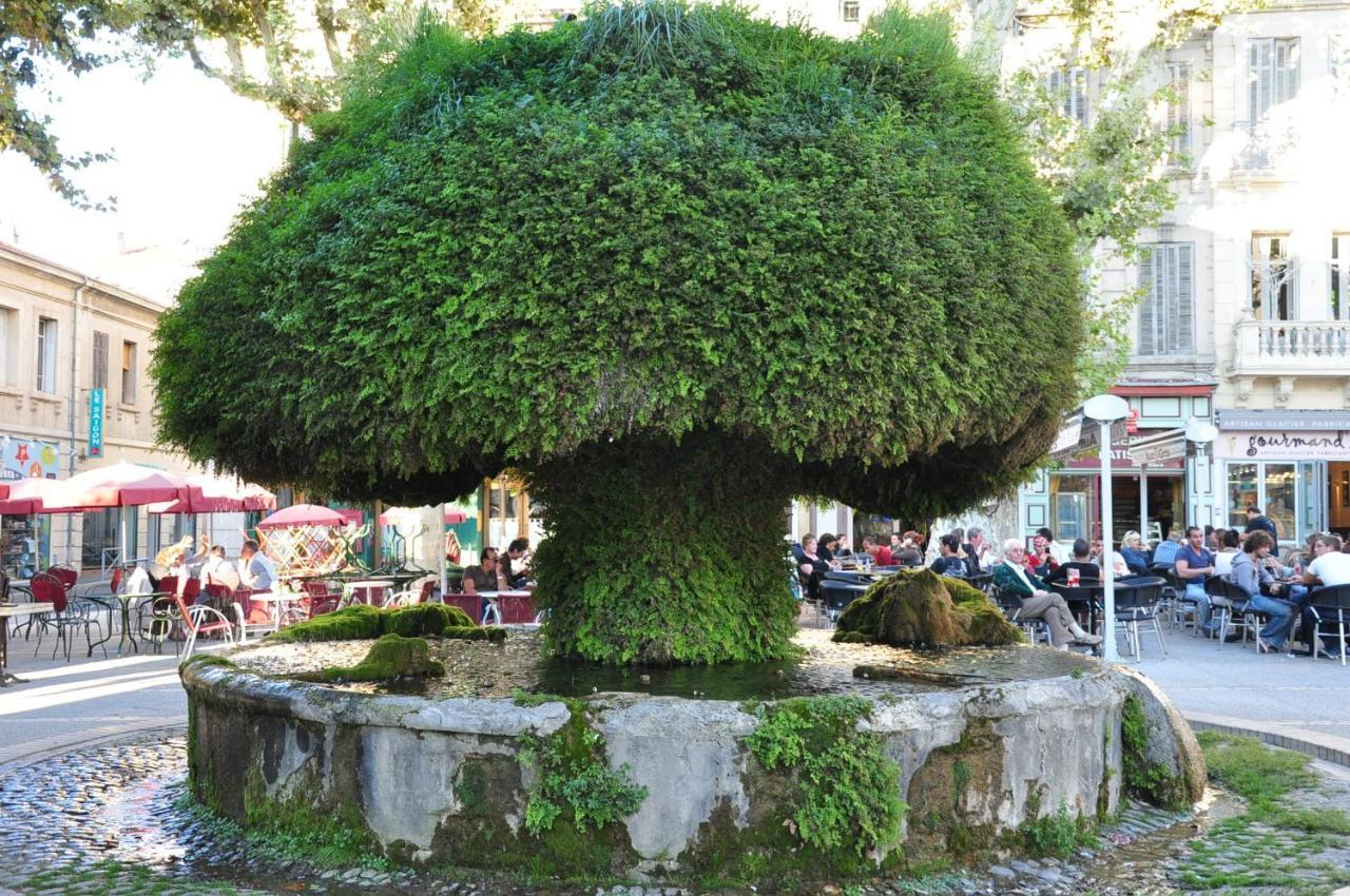 La Pause Salonaise "Au Coeur De La Ville" Exterior foto